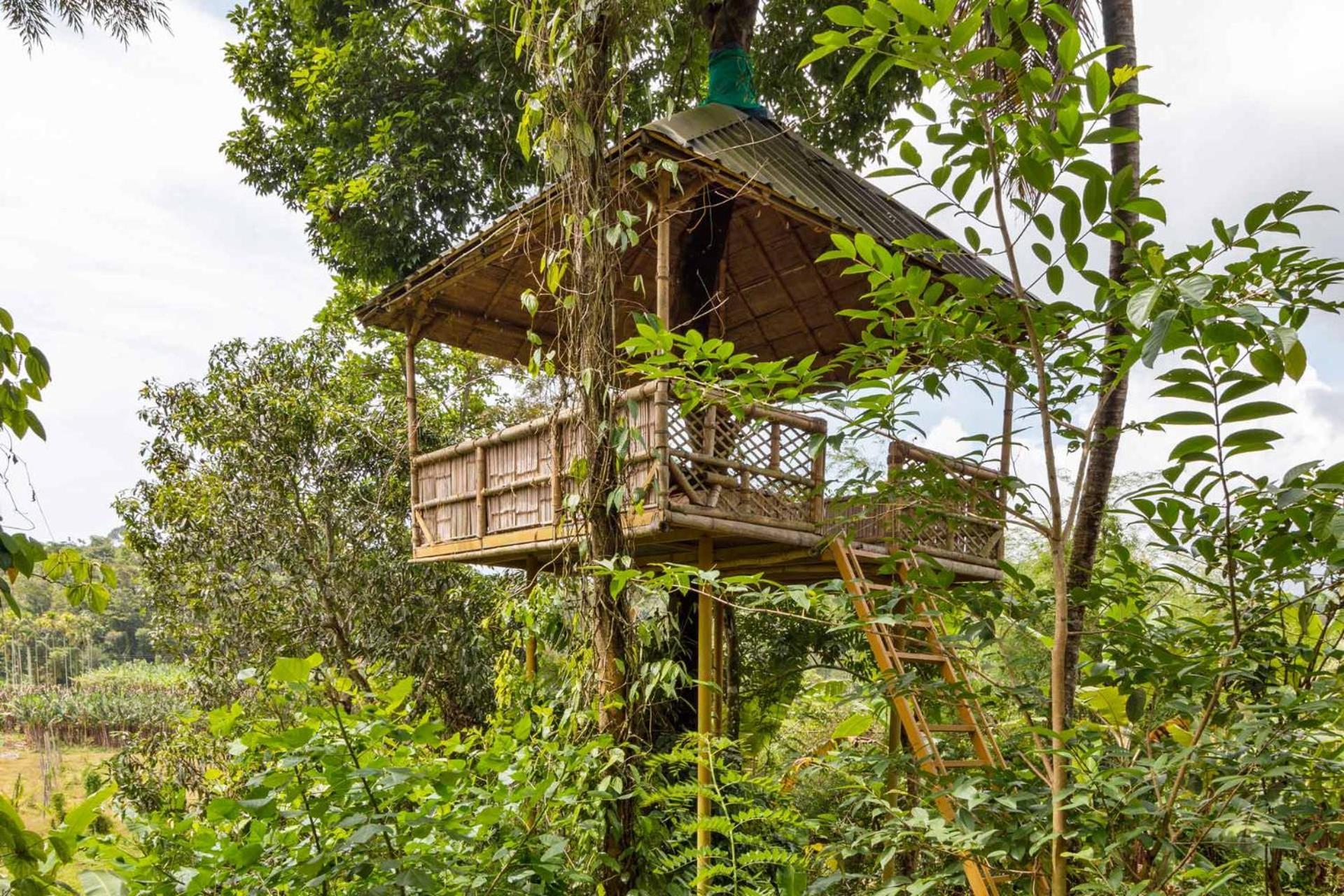 Serene Valley Resort Wayanad 玛纳多迪 外观 照片